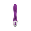 Playful Allure Rabbit Vibrator - Purple